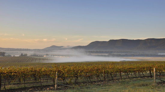 Hunter Valley Gardens